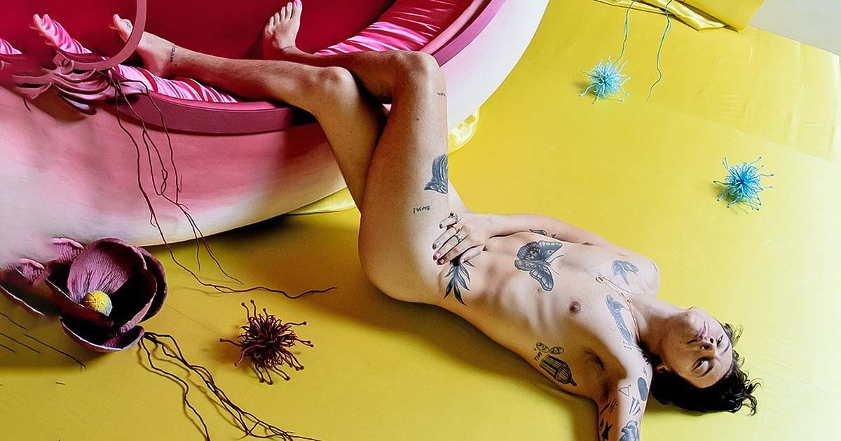 Harry Styles Shirtless Gallery - Sin Camisa - cover 2