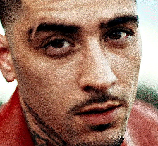 zayn lov elike this gif